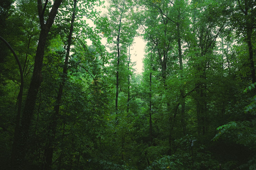 Sustainable Living Expo 2025